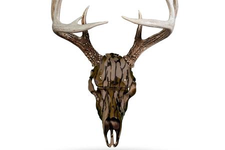 SKULL MASTER - MOSSY OAK BOTTOMLAND