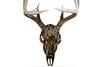 ILLUSION SYSTEMS LLC SKULL MASTER - MOSSY OAK BOTTOMLAND