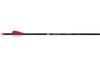 VICTORY ARCHERY RIVAL 350 6 PACK FLETCHED GPI 81