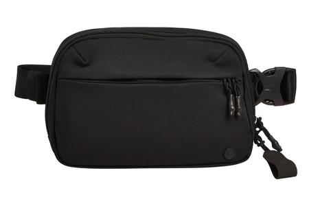 EVERYDAY FANNY PACK PLUS