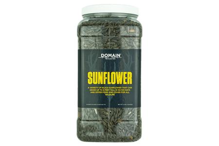 SUNFLOWER 1/4 ACRE