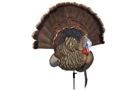 AVIAN AVXAVX8021   TROPHY TOM               DECOY