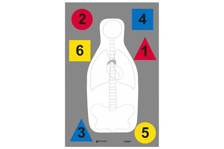 ACTION TGT DT ANATOMY MULTI 100PK