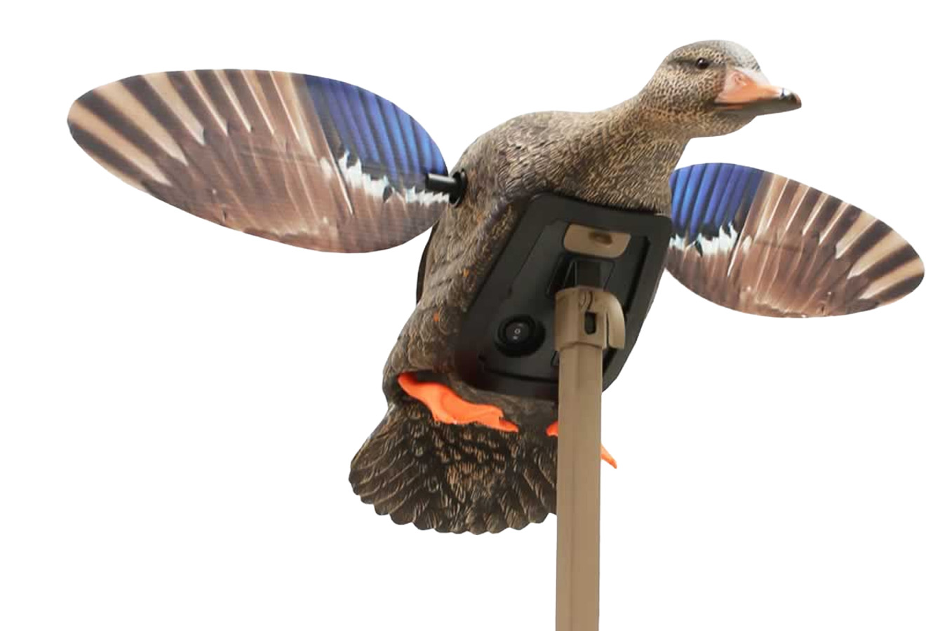 Mojo Outdoors Mini Mallard Hen Decoy