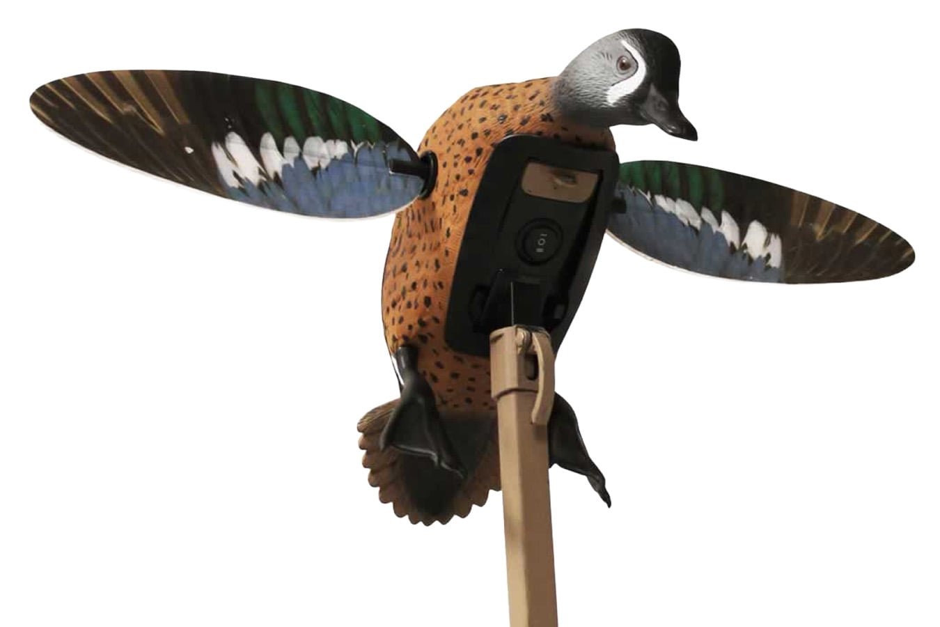 Mojo Outdoors Blue Wing Teal Decoy - Remote Ready