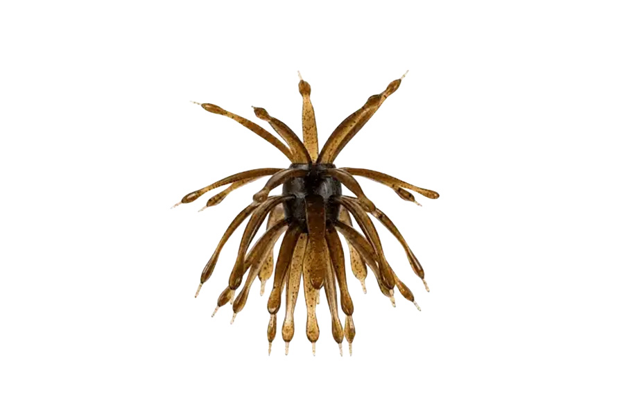 6th Sense Abstract Urchin Bait 12mm