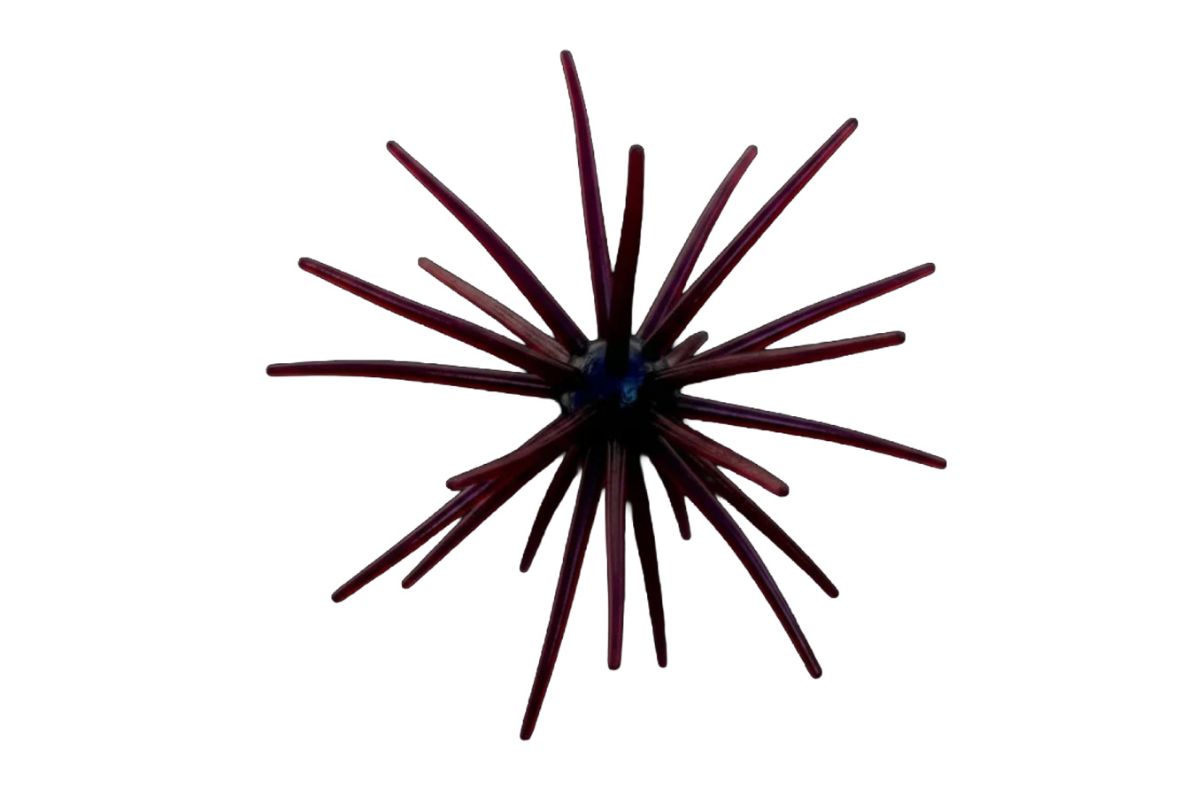 Bluerock Custom Tackle Cabec Urchin Bait 25 MM