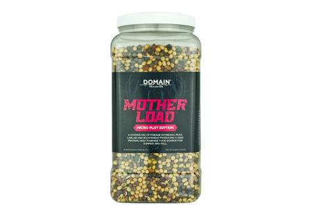 DOMAIN MLFP6-MICRO MOTHER LOAD - MICRO
