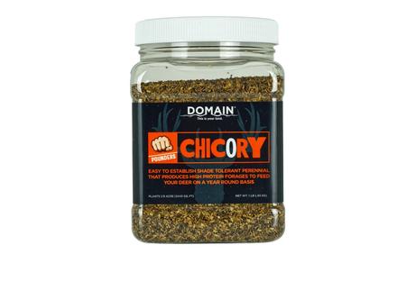 DOMAIN DCS1LB      POUNDER - CHICORY