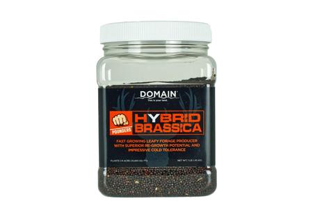 DOMAIN DHBS1LB     POUNDER - HYBRID BRASSICA