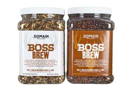 DOMAIN BBFP6       BOSS BREW