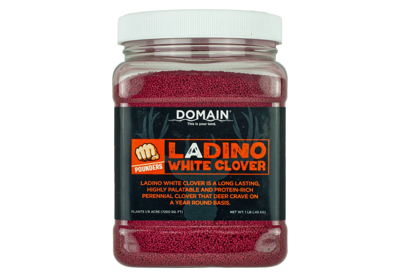 Domain Outdoors Ladino White Clover Food Plot Seed