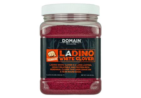 DOMAIN DLWCS1LB    LADINO WHITE CLOVER
