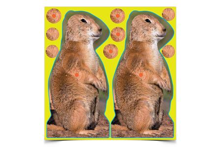 BIR 34786          SHOOT-N-C PRAIRIE CHUCK    12PK