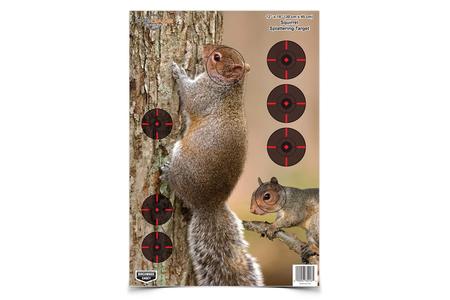BIR 35406          PREGAME 12X18 SQRL REACTIVE 8PK
