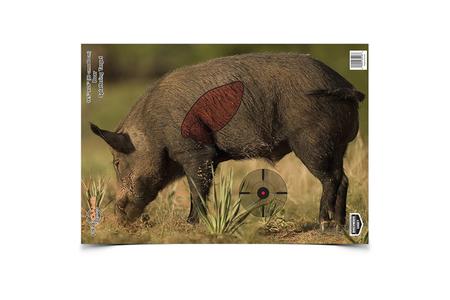 BIR 35408          PREGAME 16.5X24 BOAR        3PK