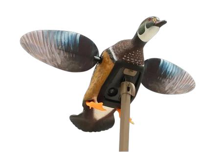 MOJO HW24723P ES WOODY