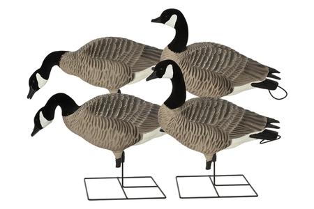 PG XD CANADA FB-HARVESTER PACK (4-PACK)