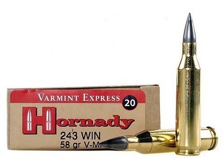 243 WIN 58 GR V-MAX MOLY VARMINT EXPRESS