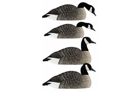 AXP HONKER SHELLS 6 PK