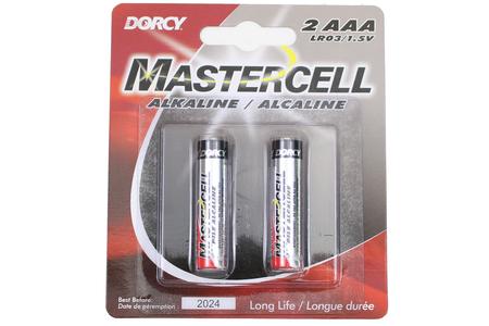 MASTERCRAFT ALKALINE BATTERIES 2-AAA PK