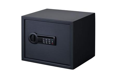 PERSONAL SAFE-LARGE