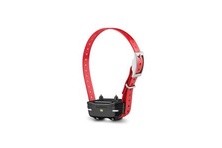 PRO SERIES COLLAR WITH RECEIVER RED