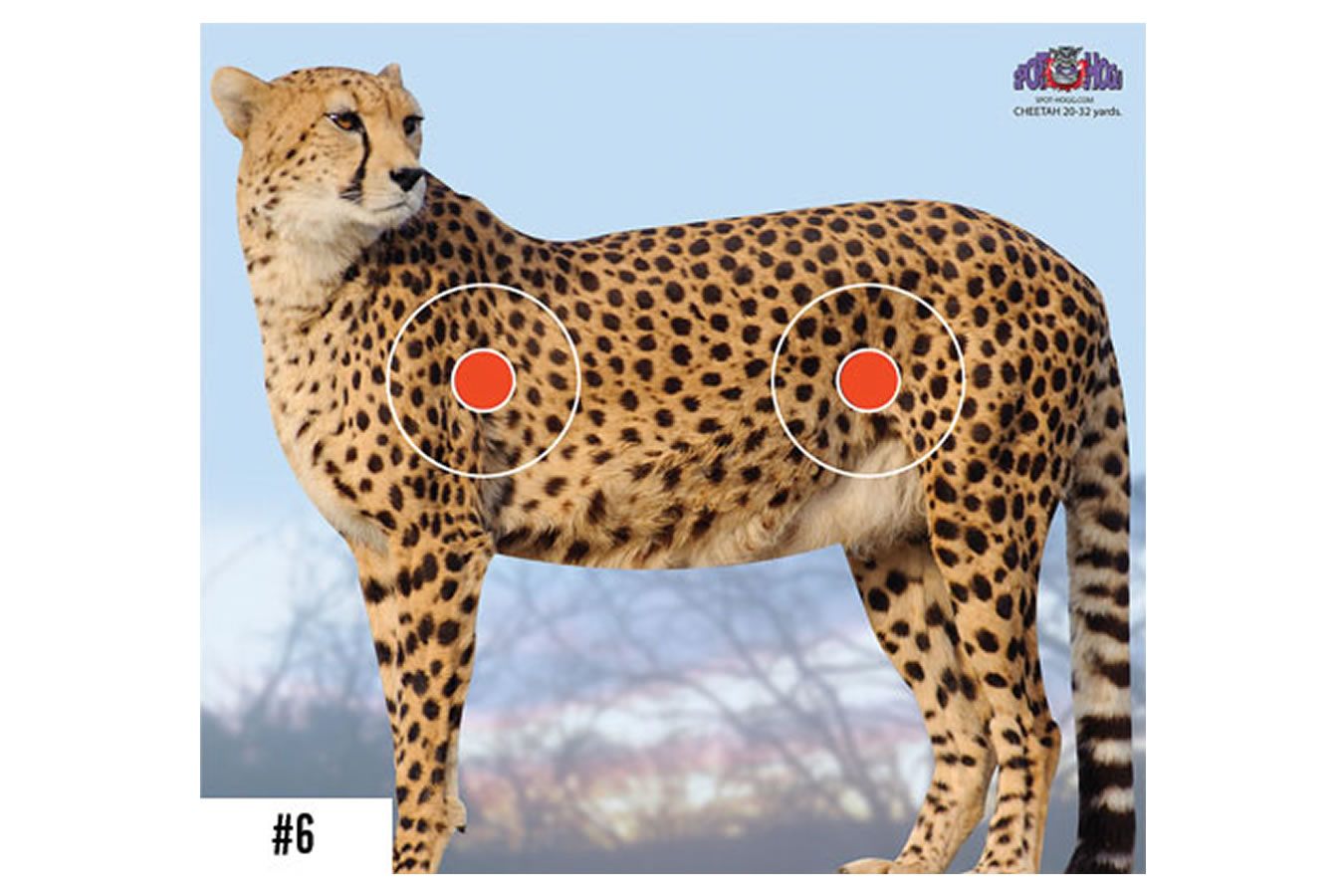 Spot Hogg Spot Hogg Safari Target- Cheeta | Vance Outdoors