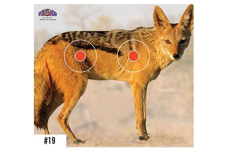 SPOT HOGG SAFARI TARGET JACKAL