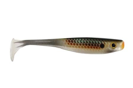 SUICIDE SHAD GILLATEEN