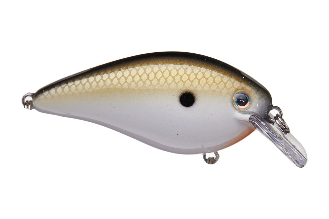 Strike King KVD 1.0 Squarebill Crankbait Tennessee Shad 2.0 | Vance ...