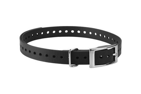 3/4 INCH BLACK ACC COLLAR STRAP