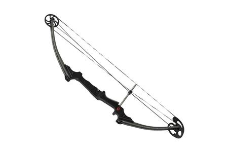 Genesis® - Genesis Archery