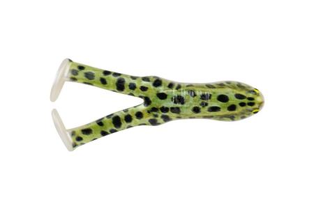 BEAT`N PADDLE FROG HD NATURAL LEOPARD