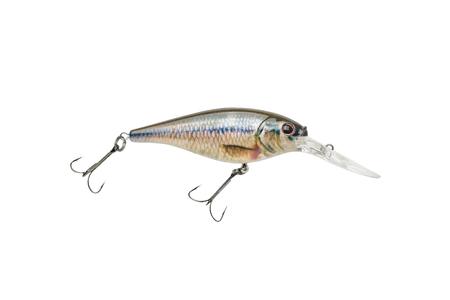 FLICKER SHAD 5M HD FATHEAD MINNOW