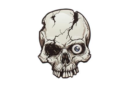 4X6 SKULL CRACKED MAGNET