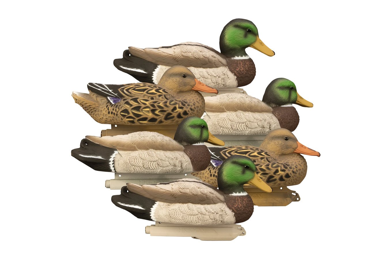 HIGDON Standard Mallard Foam Filled 6 Pack