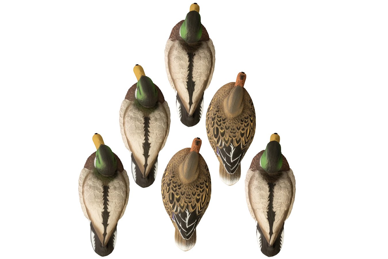 HIGDON Standard Mallard Foam Filled 6 Pack