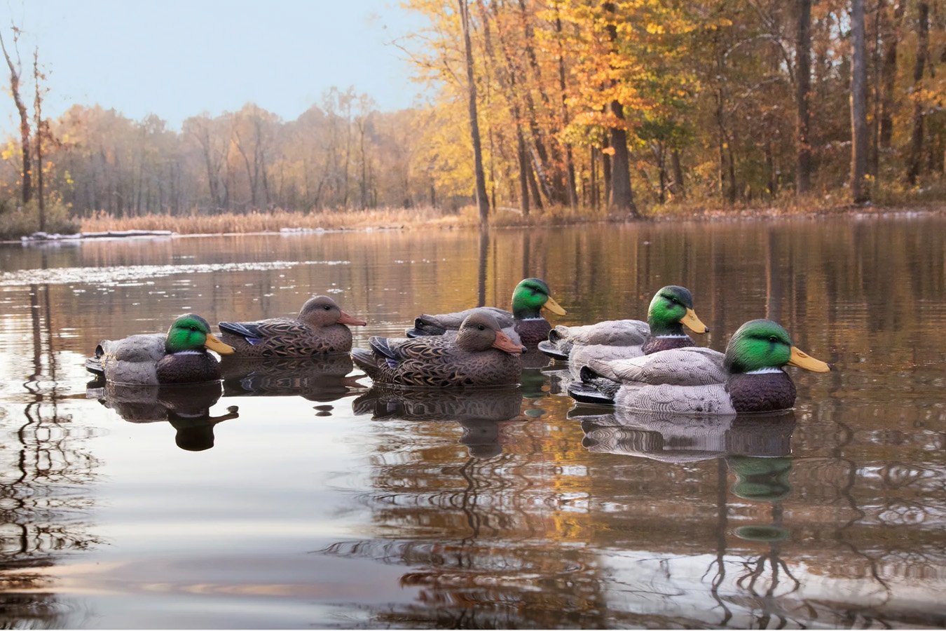 HIGDON Standard Mallard Foam Filled 6 Pack