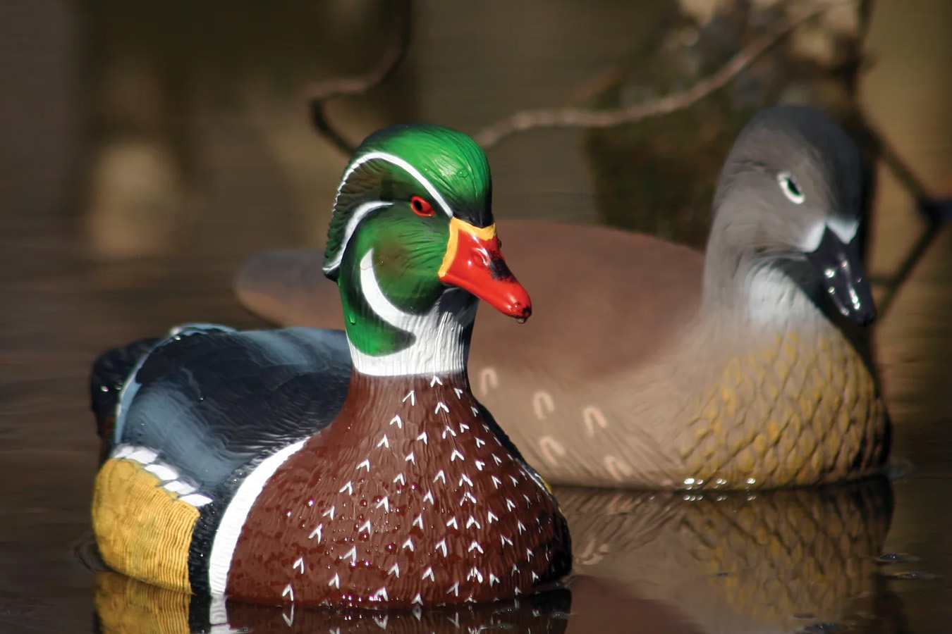 HIGDON Standard Wood Duck Decoys 6-Pack