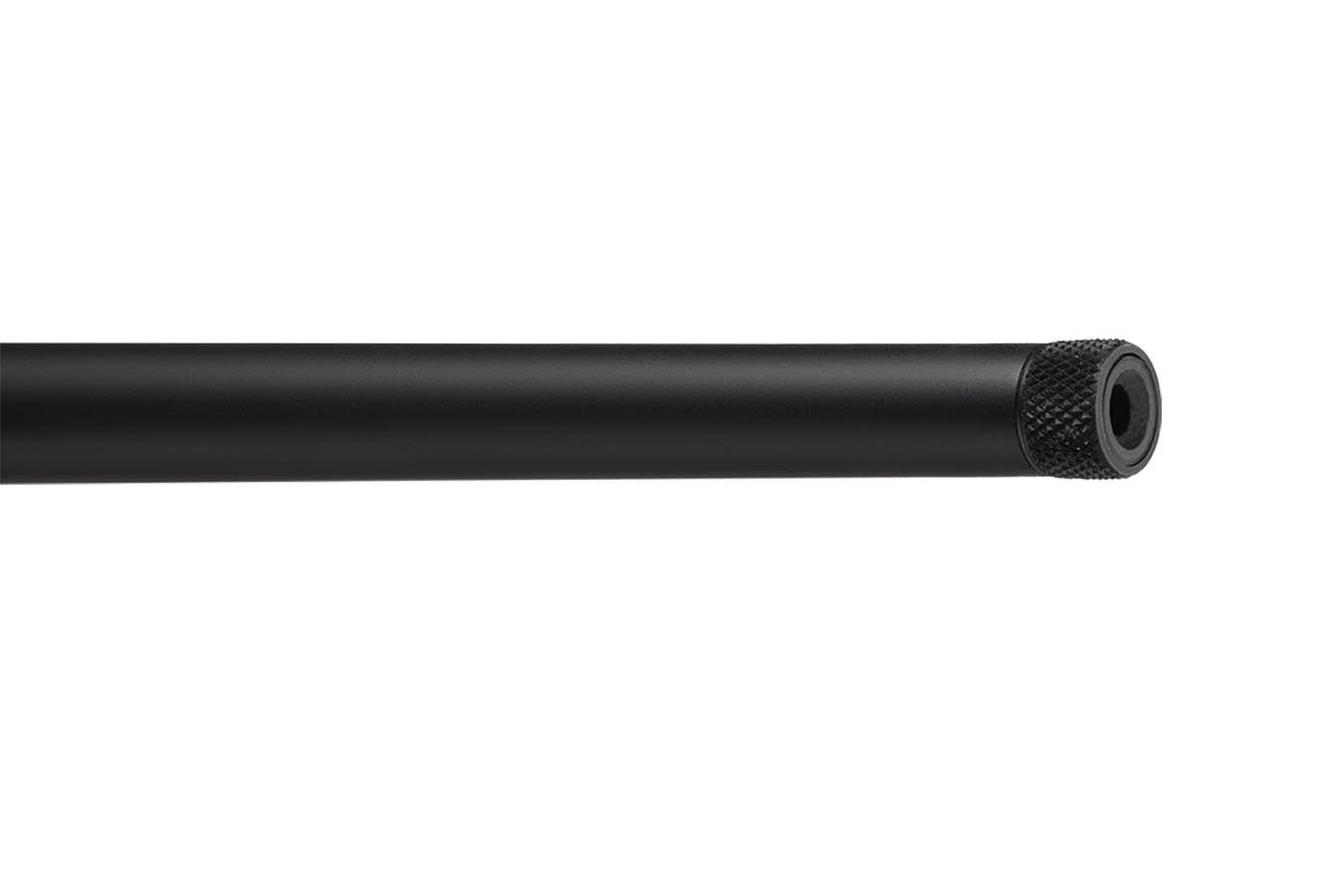 SAVAGE RXR22 22LR Semi-Auto Rifle with FDE Stock