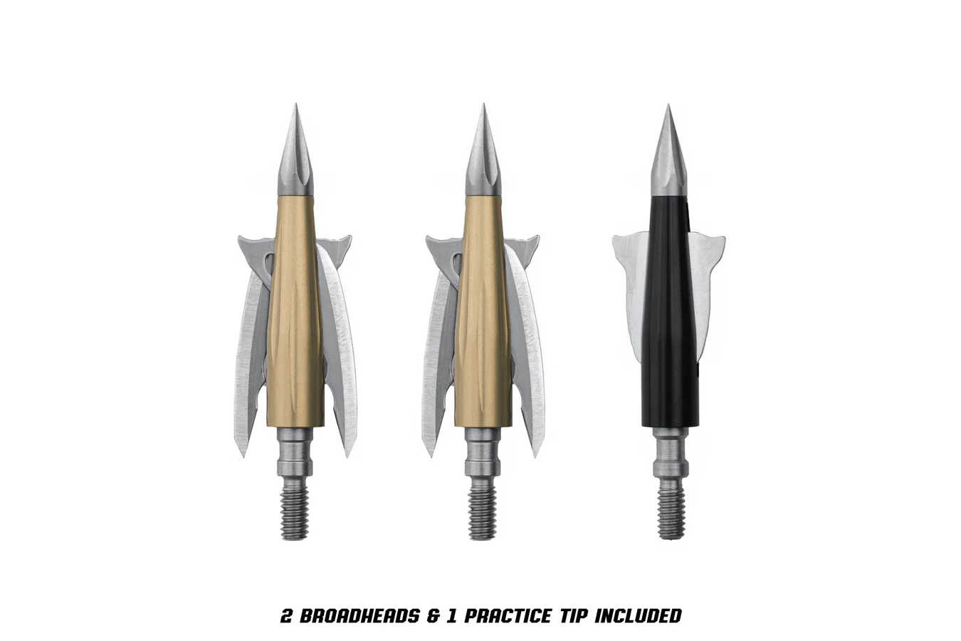 BEAST BROADHEADS Beast Broadheads 2.3 inches 125 Grain - 2 Pack