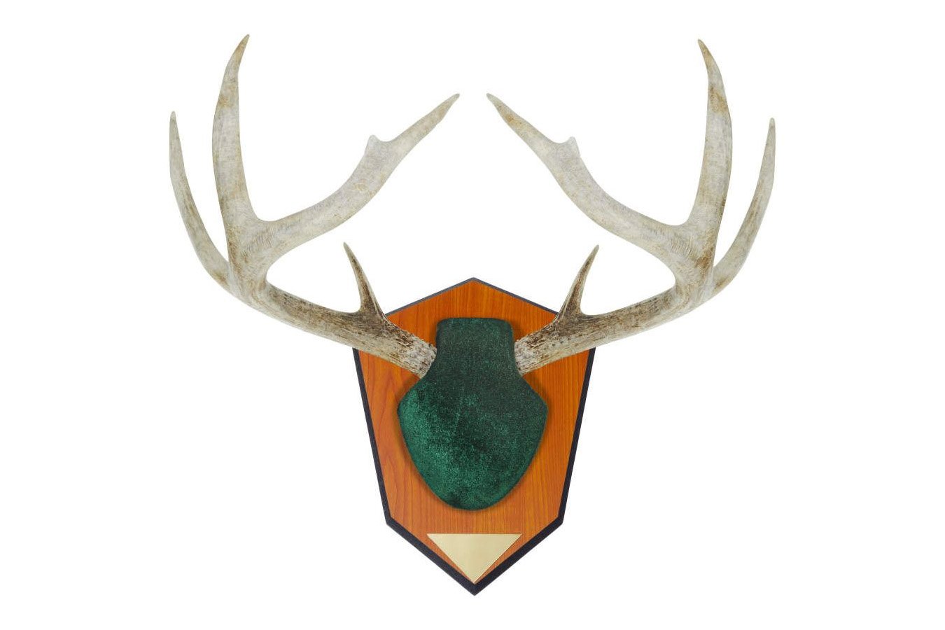 ALLEN COMPANY Antler Mounting Kit Green