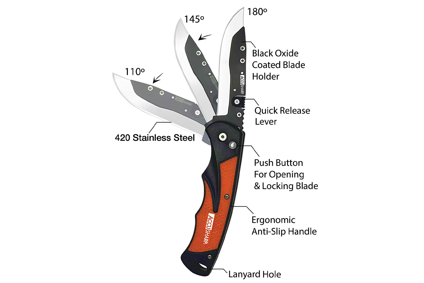 ACCUSHARP/FORTUNEPRODINC Replaceable Blade Razor 3.5 Inch Folding Knife w/ 2 Replacement Blades