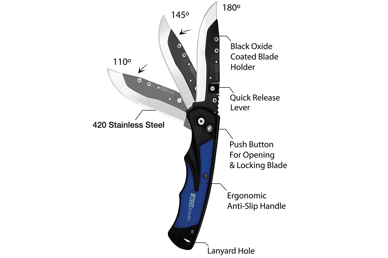 ACCUSHARP/FORTUNEPRODINC Replaceable Blade Razor 3.5 Inch Folding Knife w/ 2 Replacement Blades