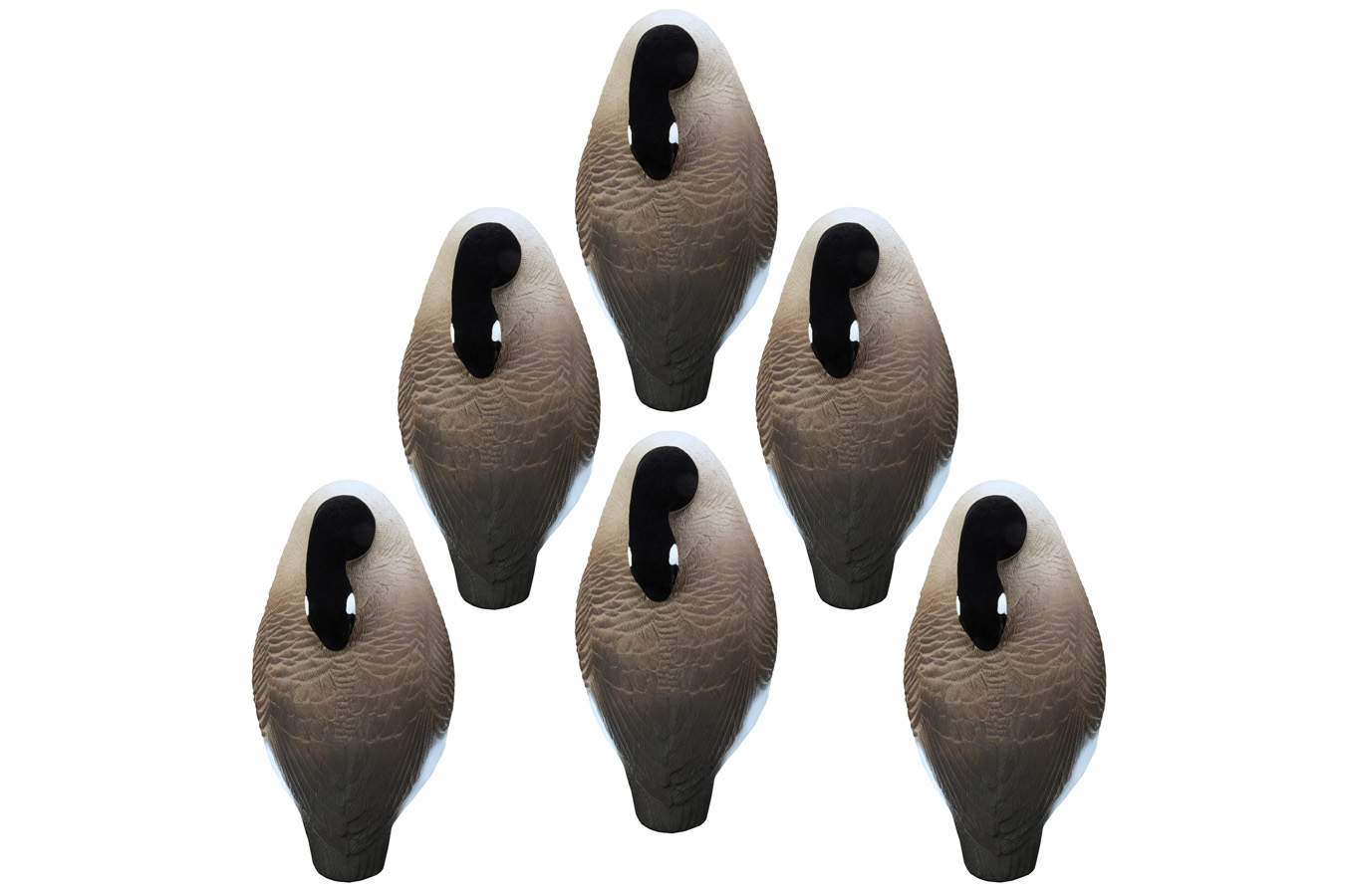 HIGDON Full Size Half Shell Sleeper Canada Goose 6-Pack