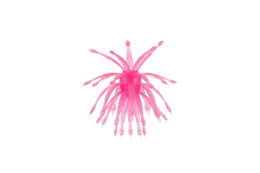 6TH SENSE Abstract Urchin Bait 12mm