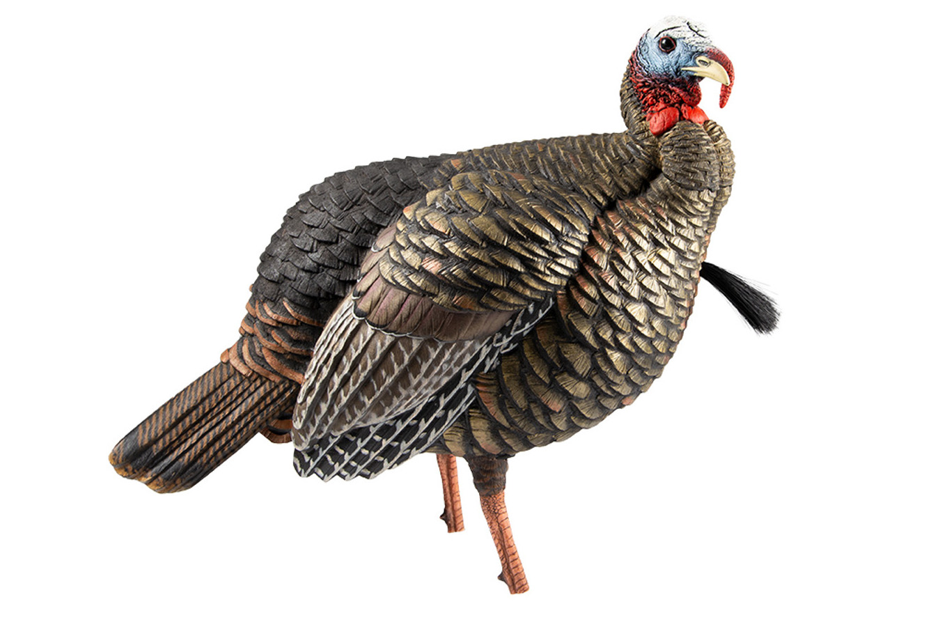 AVIAN X HDR Jake Turkey Decoy