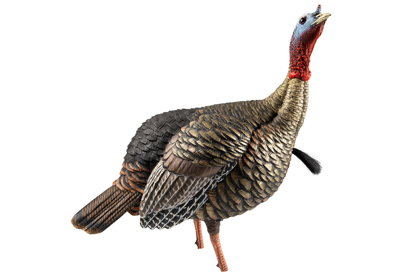 AVIAN X HDR Jake Turkey Decoy