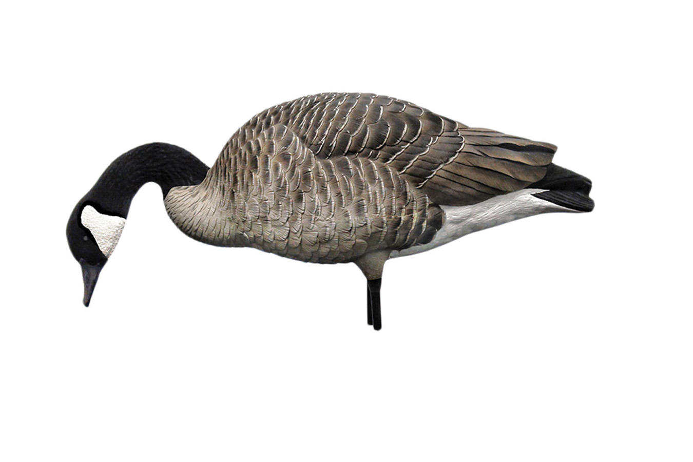 AVIAN X AXP Fusion Honker 6 Pack